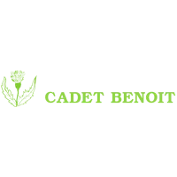 Logo CADET BENOIT