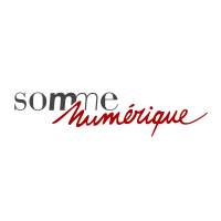 Logo SYNDICAT MIXTE SOMME NUMERIQUE